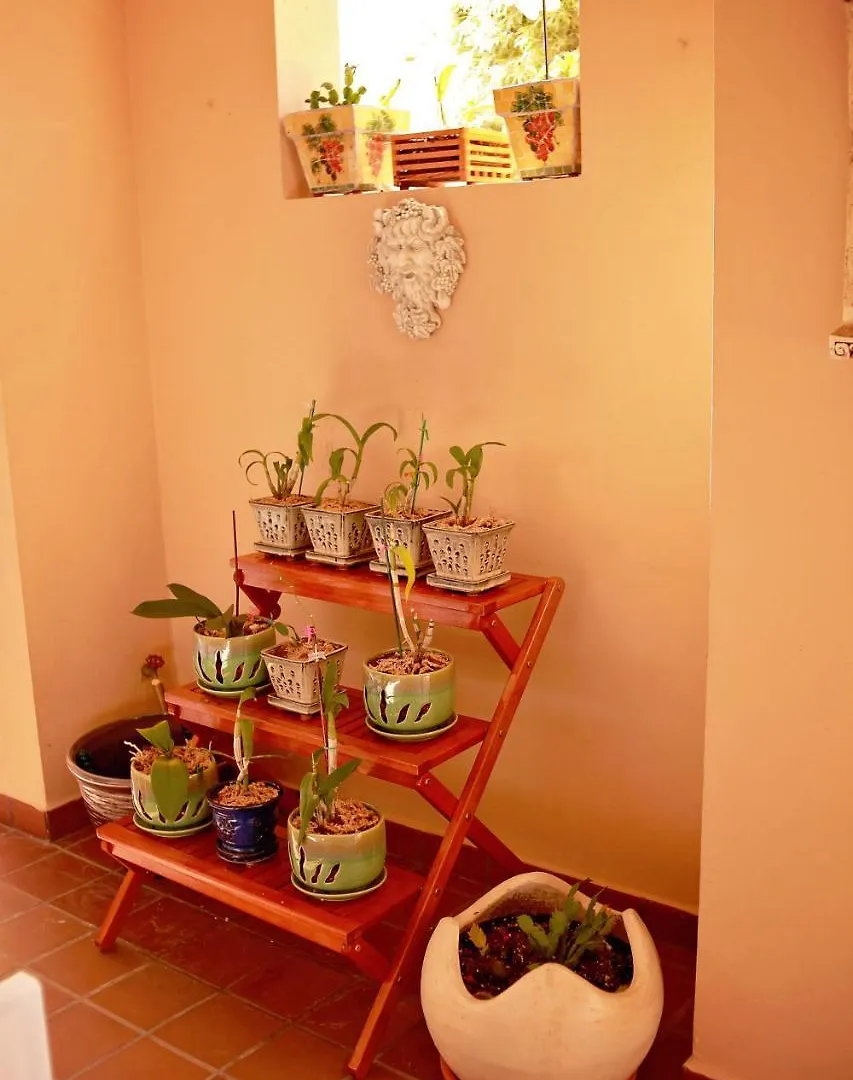 Solana Beach House Apartamento Humacao